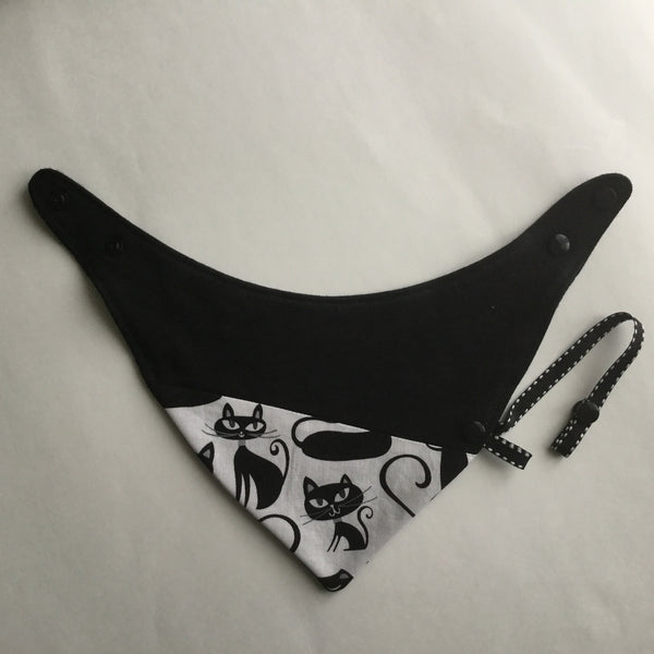 Noir/Chat
